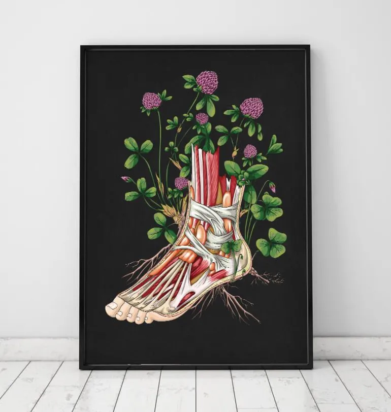 Anatomie florale du pied - Noir