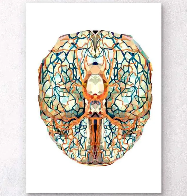 Anatomie géométrique du cerveau I