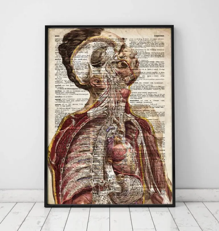 Anatomie humaine géométrique II - Ancien dictionnaire