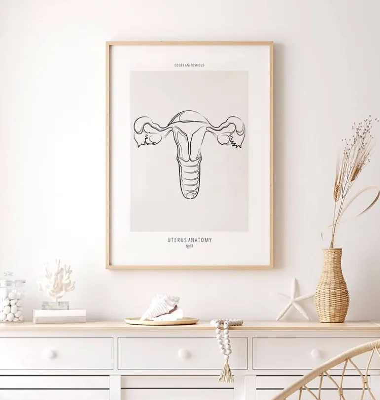 Anatomie utérine - Line Art