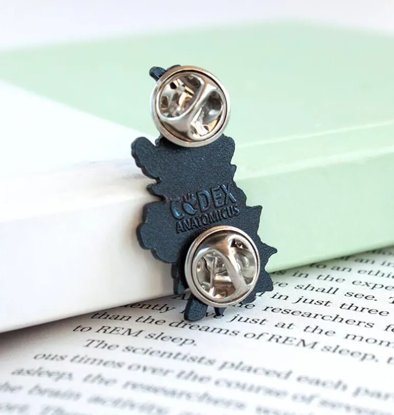 Aorte avec fleurs - Pins