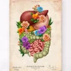 Appareil digestif - Floral - Vintage
