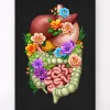 Appareil digestif - Floral - Noir