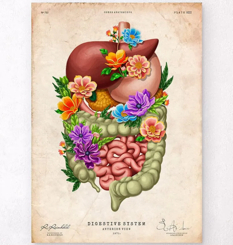 Appareil digestif - Floral - Vintage