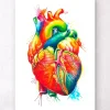 Art coeur anatomique - Aquarelle