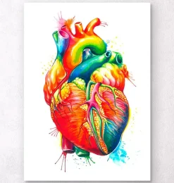 Art coeur anatomique - Aquarelle