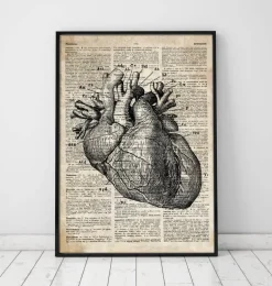 Art d'anatomie cardiaque - Ancien dictionnaire