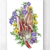 Art d'anatomie de la main - Blanc