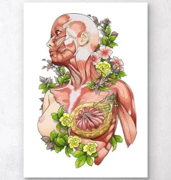 Art d'anatomie du corps féminin - Blanc