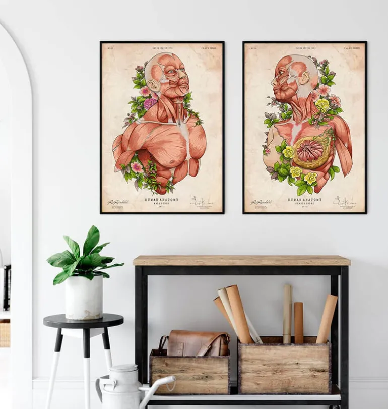Art d'anatomie du corps féminin