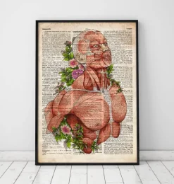 Art d'anatomie du corps masculin - Ancien dictionnaire