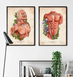 Art d'anatomie du corps masculin