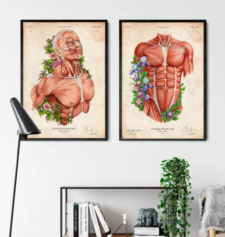 Art d'anatomie du corps masculin