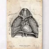 Art d'anatomie du cœur et des poumons II