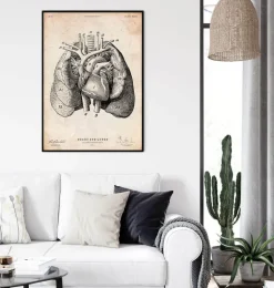 Art d'anatomie du cœur et des poumons I