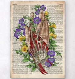 Art de l'anatomie de la main - Anciene dictionnaire