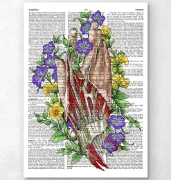 Art de l'anatomie de la main - Page du dictionnaire