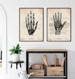 Art de l'anatomie de la main humaine