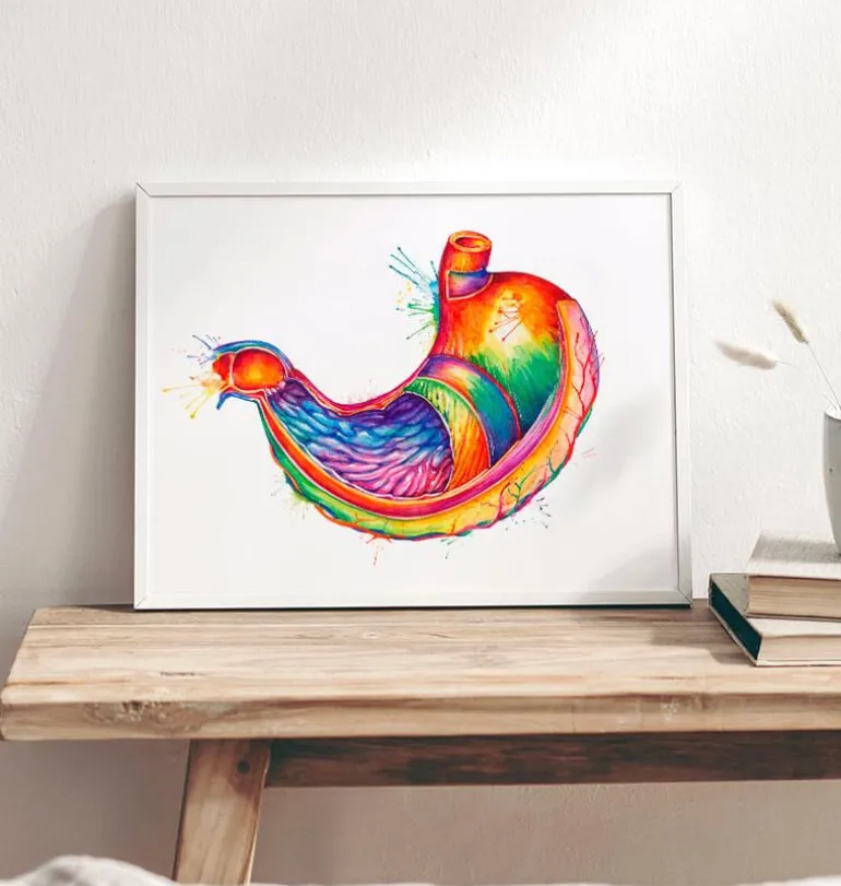 Art de l'anatomie de l'estomac - Aquarelle