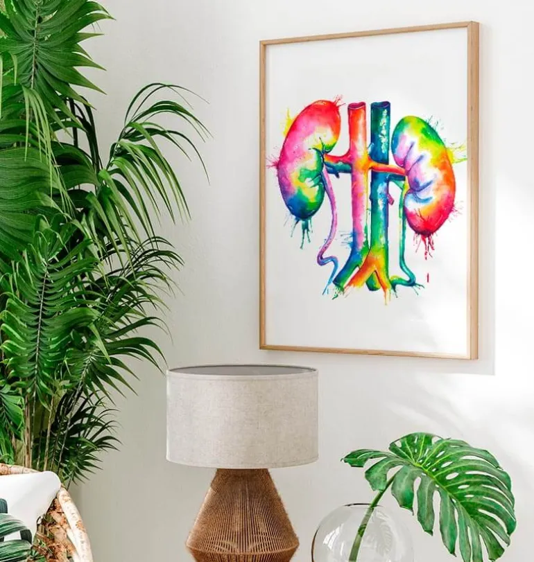 Art de l'anatomie des reins - Aquarelle