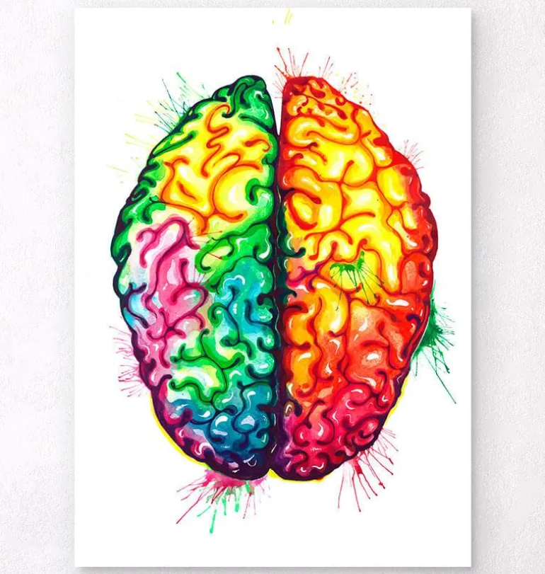 Art de l'anatomie du cerveau II - Aquarelle