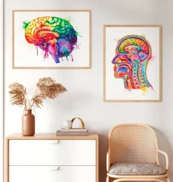 Art de l'anatomie du cerveau - Aquarelle