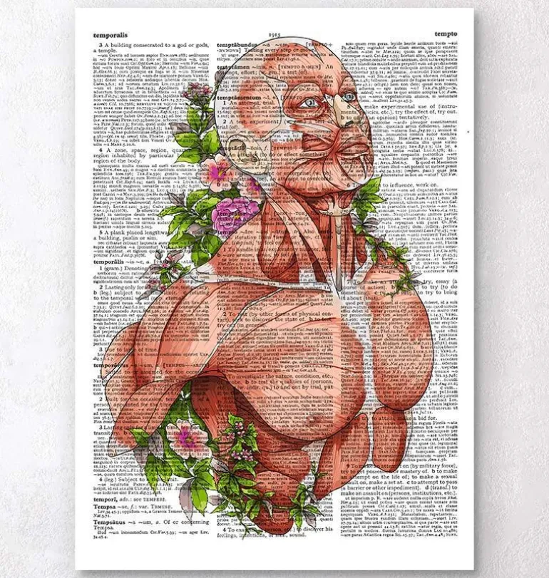 Art de l'anatomie du corps masculin - Page du dictionnaire