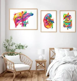 Art de l'anatomie du foie - Aquarelle