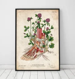 Art de l'anatomie du pied - Floral