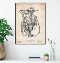 Art de l'anatomie thyroïdienne