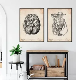 Art de l'anatomie thyroïdienne
