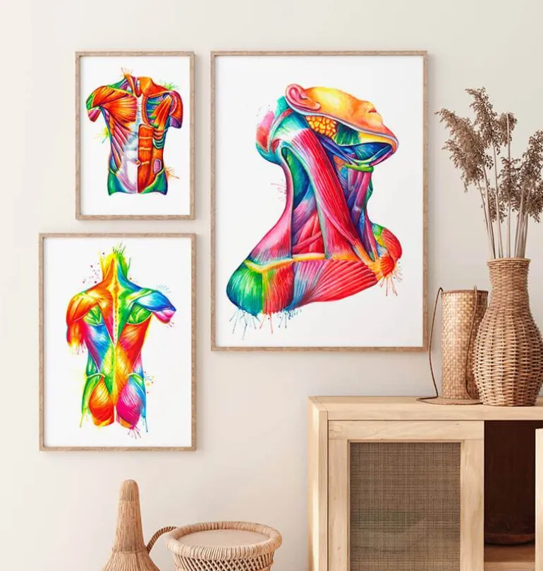 Art des muscles du cou - Aquarelle