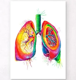 Art des poumons anatomiques - Aquarelle
