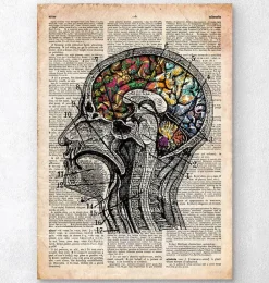 Art du cerveau floral - Ancien dictionnaire