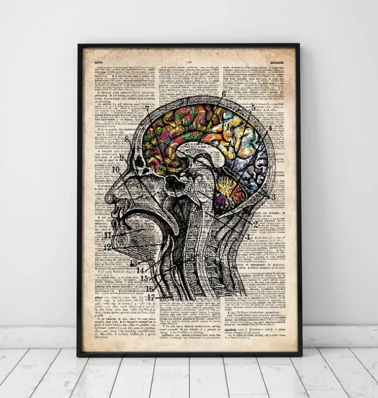 Art du cerveau floral - Ancien dictionnaire