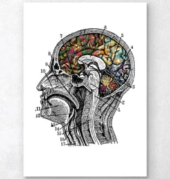 Art du cerveau floral - Blanc