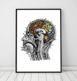 Art du cerveau floral - Blanc