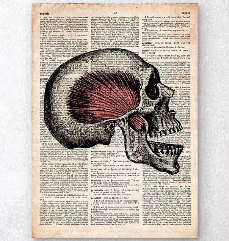 Art du crâne - Page du dictionnaire