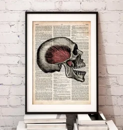 Art du crâne - Page du dictionnaire