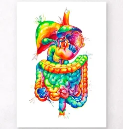 Art du système digestif - Aquarelle