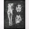 Articulation du genou et muscles des jambes - Chalkboard