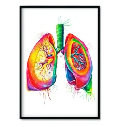 Bestsellers - Aquarelle - Lot de 3