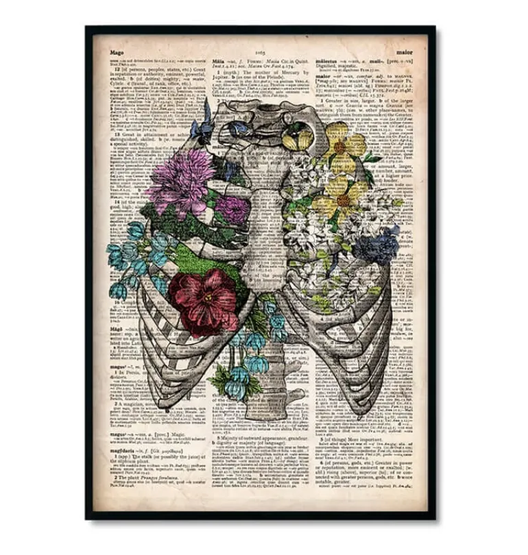 Bestsellers - Dictionnaire - Lot de 3