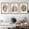 Bestsellers - Vintage - Lot de 3