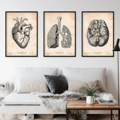 Bestsellers - Vintage - Lot de 3
