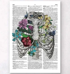 Cage thoracique - Page du dictionnaire
