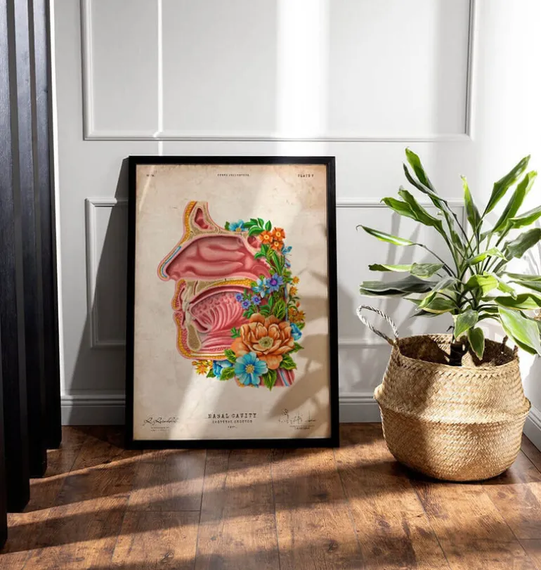 Cavité nasale - Floral - Vintage