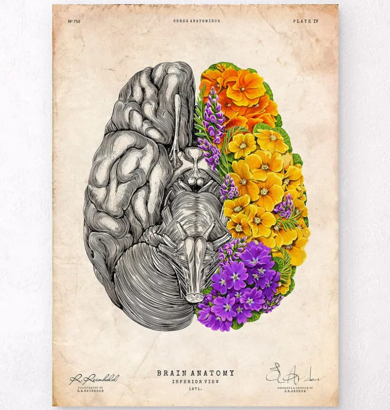 Cerveau avec des fleurs - Vieux papiers