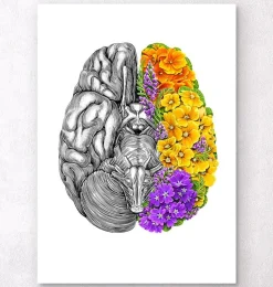 Cerveau avec des fleurs - Blanc