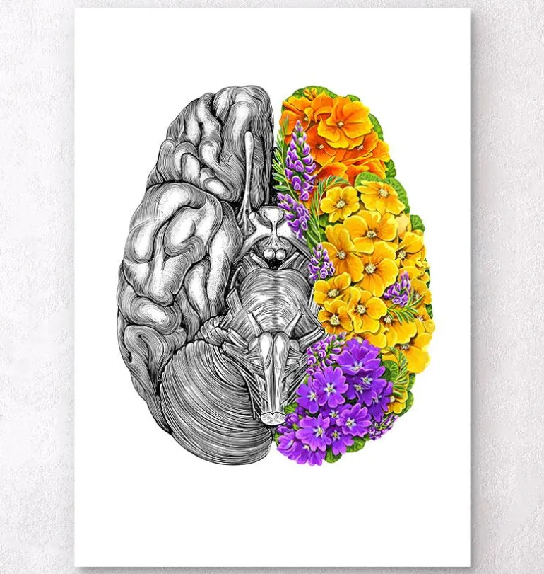 Cerveau avec des fleurs - Blanc